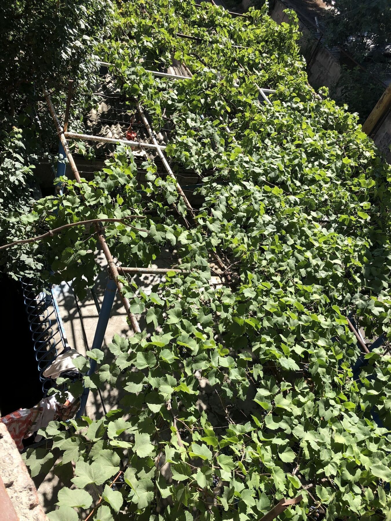Lucky Family Hotel Tbilisi Exterior photo